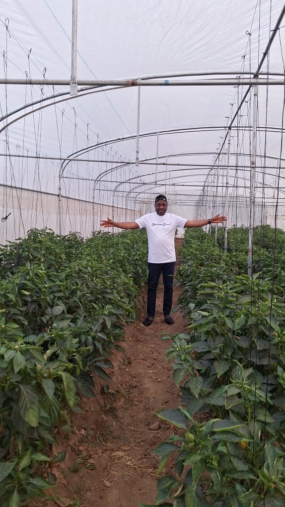 Nobert Onaga standing proudly in the Nouveria Farms greenhouse
