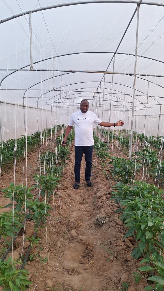 Nobert Onaga showcasing the young crops at Nouveria Farms